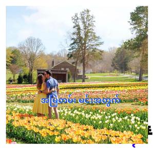 အမြဲတမ်း မင်းအတွက်