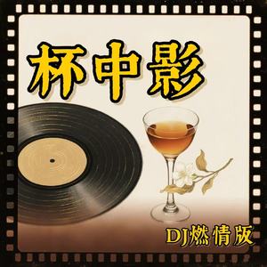 杯中影（DJ热歌版）