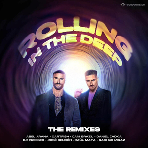 Rolling in the Deep (DJ Pressed Remix)