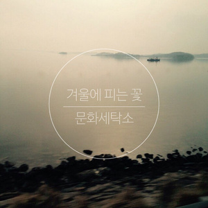 겨울에 피는 꽃