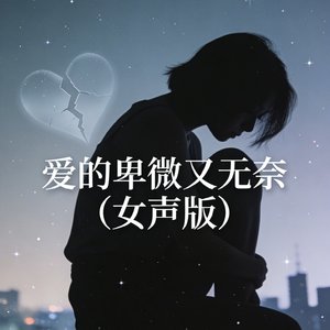 爱的卑微又无奈(女声版)
