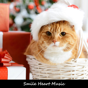 きらめく街角のセッション