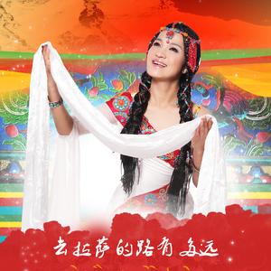 藏家哈达献给党