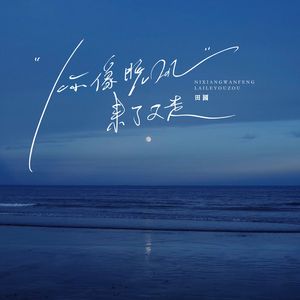 你像晚风来了又走