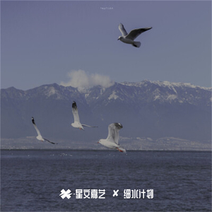 拉车门进行曲