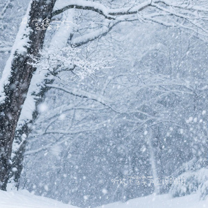 听说下雪季节应该拥抱