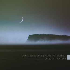 Everything I Don't Remember