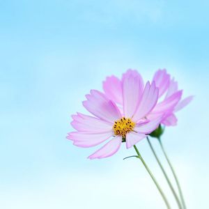 伤心的时候可以听情歌