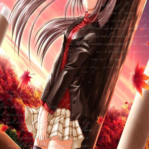 ⋄⋄⋄⋄ ⋄⋄⋄⋄ ⋄⋄⋄⋄ ⋄⋄⋄ Rising Sun Redux ⤦