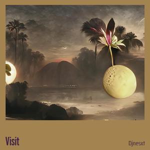 Visit