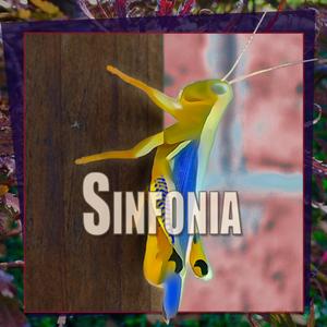 Sinfonia