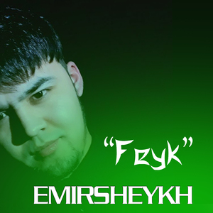 Feyk