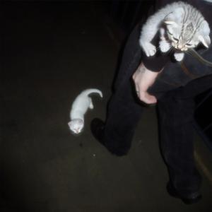 Stress (feat. pposture)