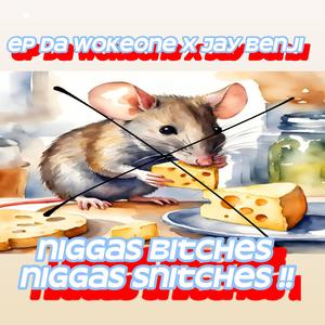 n****s snitches, n****s b*****s (feat. Jay Benji)