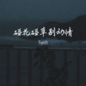 碰花碰草别碰情