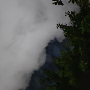 困在记忆闪帧（are you lost.）