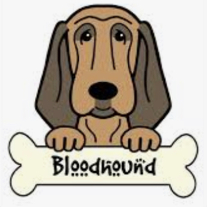 bloodhound