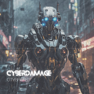 Cyberdamage