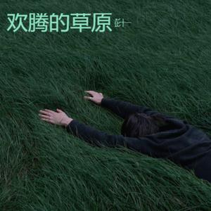 青藏高原 欢腾的草原 背水