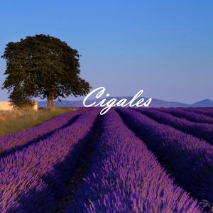 Cigales