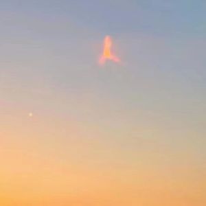 挪威的森林