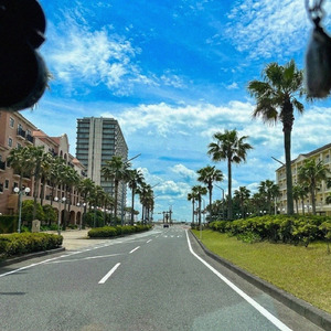 いいえ、あれは鶏出汁です