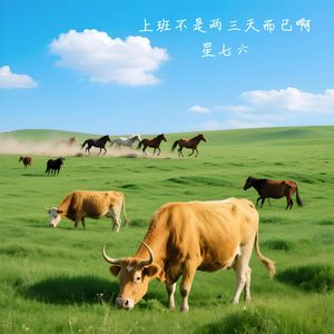 上班不是两三天而已啊