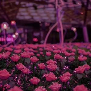 写一首歌送给你