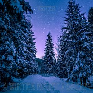 A Winter Night's Dream