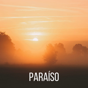 Introspección Perenne