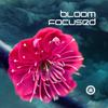 Bloom Focused - Organized Surprise