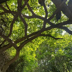 唯一（钢琴间奏）