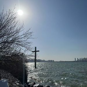 艳阳天
