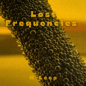 Lost Frequencies
