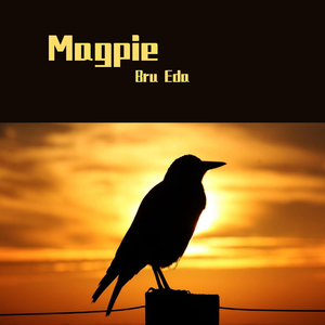 Magpie
