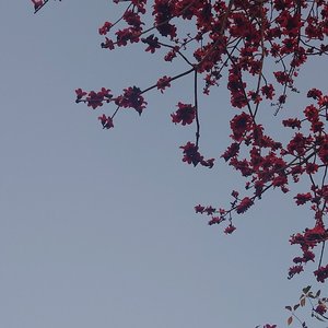 不完美的和弦