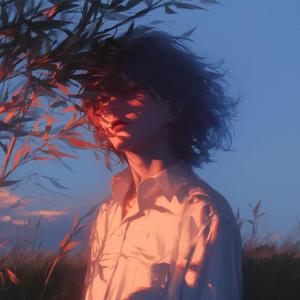 不雅（cover大宽）