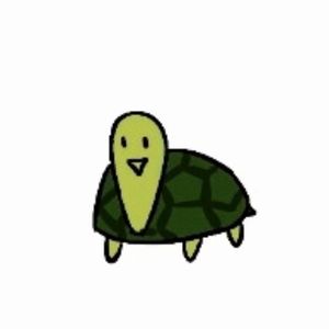 做只龟龟