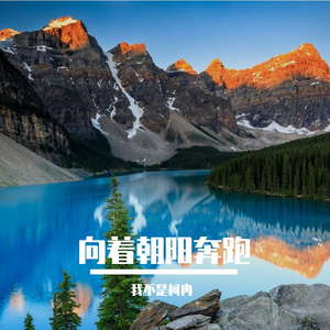 沉着你模样