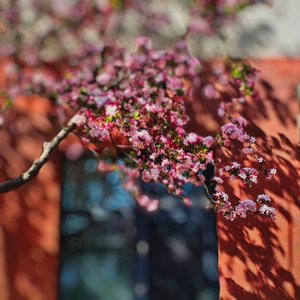 2026年03月23日 19点01分.wav