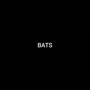 BATS