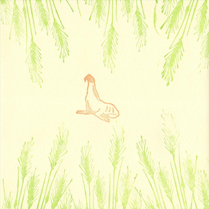 Old Man Snapping Turtle