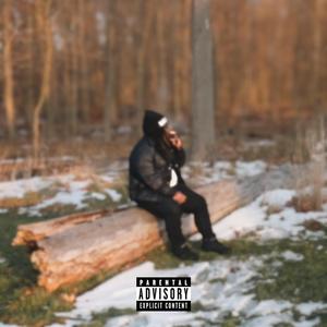 8bars