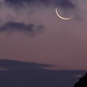 DIE FOR U (为你而亡)