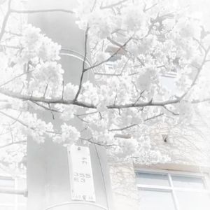 ·̩꒰ঌ✞໒꒱·