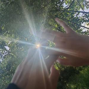 早已习惯一个人