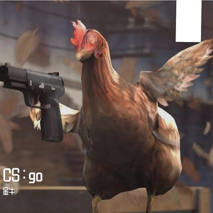 （Cover）CSGO要狙歌