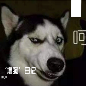 【FREE】 ‘’撸狗“日记