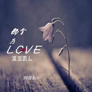 那个为爱流过泪的人