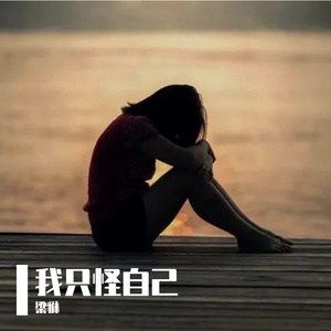 我只怪自己（粤）